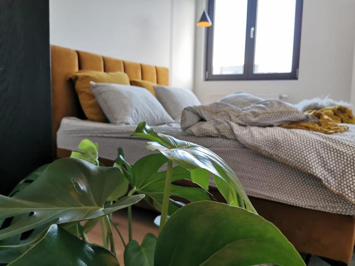 The Penthouse, Oasis Of Light And Inspiration Apartment Antwerp Luaran gambar